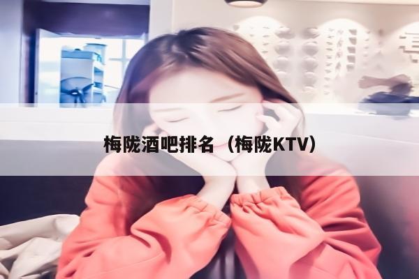 梅陇酒吧排名（梅陇KTV）