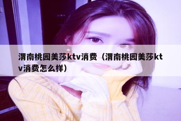 渭南桃园美莎ktv消费（渭南桃园美莎ktv消费怎么样）