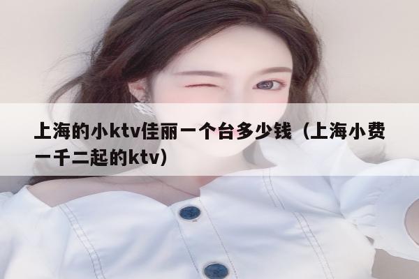 上海的小ktv佳丽一个台多少钱（上海小费一千二起的ktv）