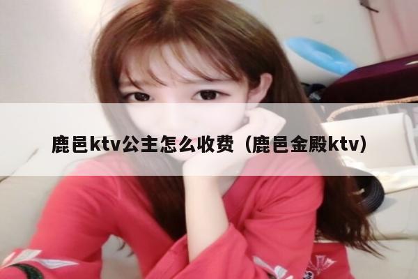 鹿邑ktv公主怎么收费（鹿邑金殿ktv）